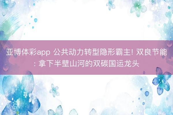 亚博体彩app 公共动力转型隐形霸主! 双良节能: 拿下半壁山河的双碳国运龙头