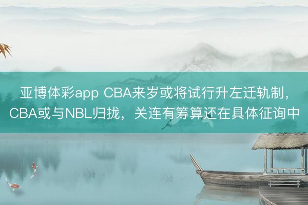 亚博体彩app CBA来岁或将试行升左迁轨制,CBA或与NBL归拢,关连有筹算还在具体征询中