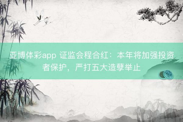 亚博体彩app 证监会程合红：本年将加强投资者保护，严打五大造孽举止