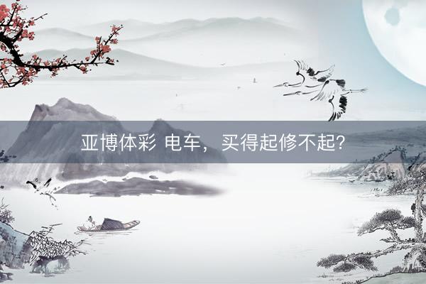 亚博体彩 电车，买得起修不起？