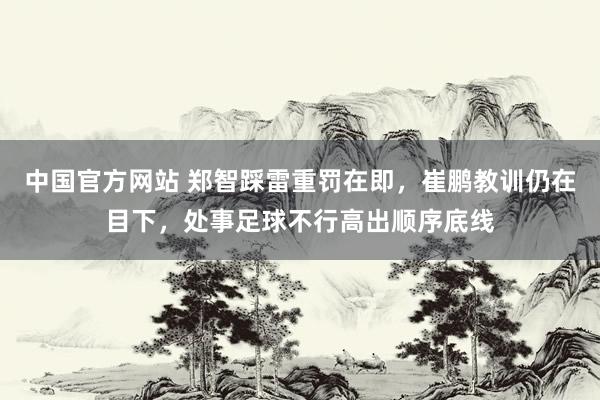 中国官方网站 郑智踩雷重罚在即，崔鹏教训仍在目下，处事足球不行高出顺序底线