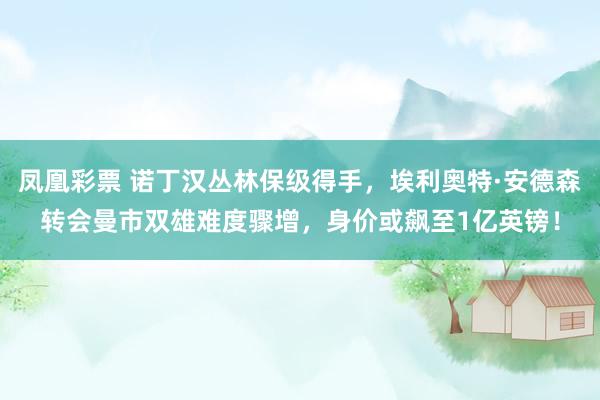 凤凰彩票 诺丁汉丛林保级得手,埃利奥特·安德森转会曼市双雄难度骤增,身价或飙至1亿英镑!