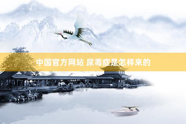 中国官方网站 尿毒症是怎样来的