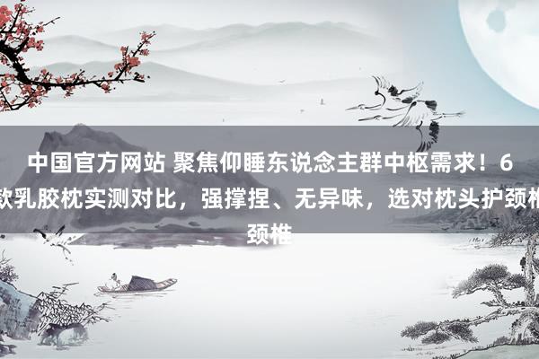 中国官方网站 聚焦仰睡东说念主群中枢需求！6款乳胶枕实测对比，强撑捏、无异味，选对枕头护颈椎