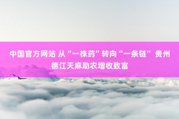 中国官方网站 从“一株药”转向“一条链” 贵州德江天麻助农增收致富