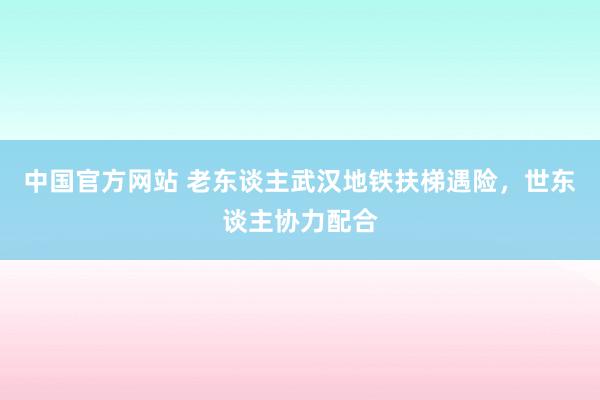 中国官方网站 老东谈主武汉地铁扶梯遇险，世东谈主协力配合