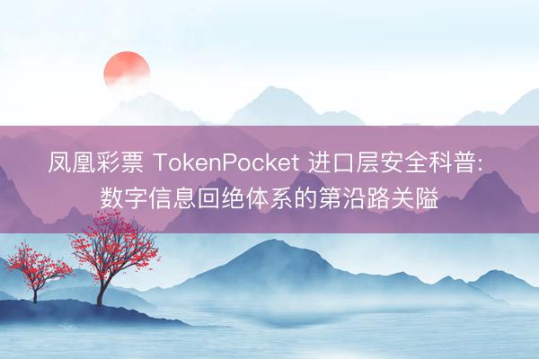 凤凰彩票 TokenPocket 进口层安全科普: 数字信息回绝体系的第沿路关隘