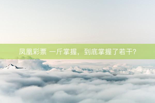 凤凰彩票 一斤掌握，到底掌握了若干？