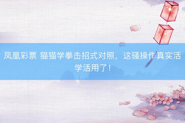 凤凰彩票 猫猫学拳击招式对照,这骚操作真实活学活用了!