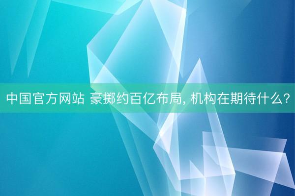 中国官方网站 豪掷约百亿布局， 机构在期待什么?