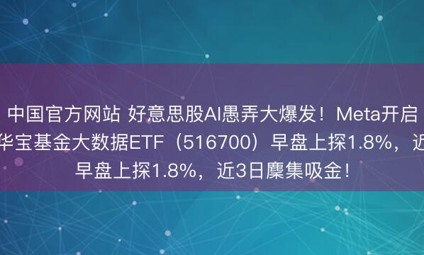 中国官方网站 好意思股AI愚弄大爆发！Meta开启“付费期间”！华宝基金大数据ETF（516700）早盘上探1.8%，近3日麇集吸金！