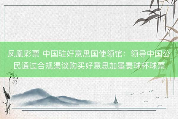 凤凰彩票 中国驻好意思国使领馆:领导中国公民通过合规渠谈购买好意思加墨寰球杯球票