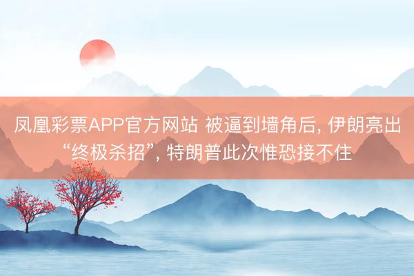 凤凰彩票APP官方网站 被逼到墙角后， 伊朗亮出“终极杀招”， 特朗普此次惟恐接不住