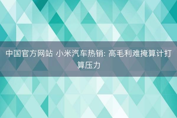 中国官方网站 小米汽车热销: 高毛利难掩算计打算压力