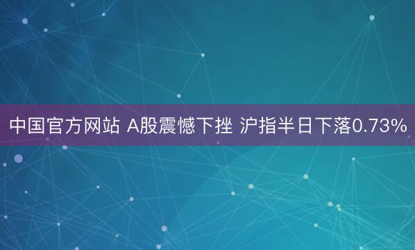 中国官方网站 A股震憾下挫 沪指半日下落0.73%