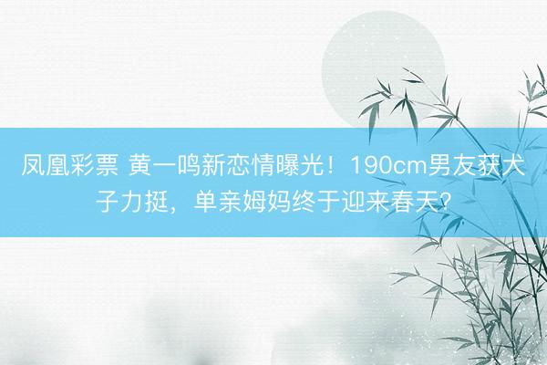 凤凰彩票 黄一鸣新恋情曝光!190cm男友获犬子力挺,单亲姆妈终于迎来春天?