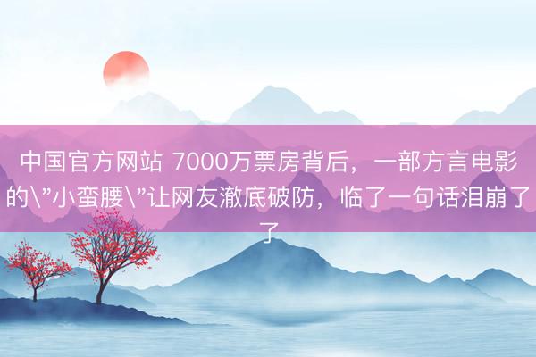 中国官方网站 7000万票房背后，一部方言电影的