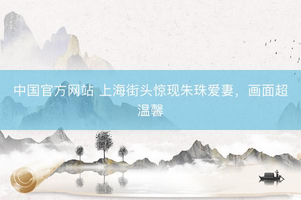 中国官方网站 上海街头惊现朱珠爱妻,画面超温馨