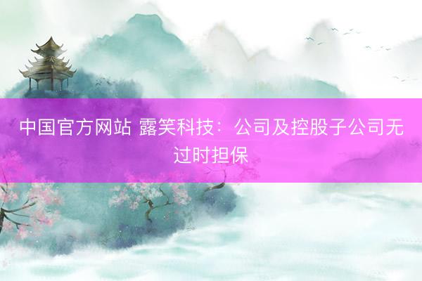 中国官方网站 露笑科技：公司及控股子公司无过时担保